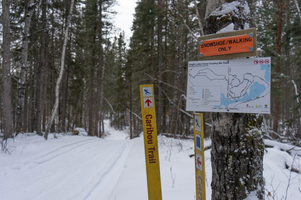 Best Cross Country Ski Trails in Saskatchewan