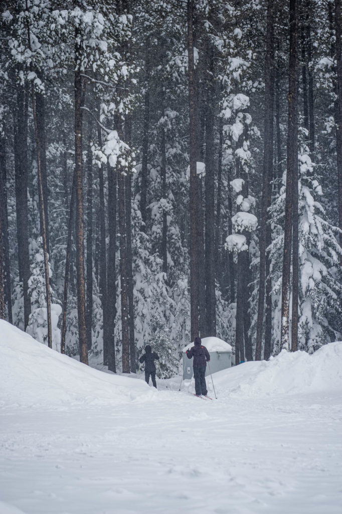 Best Cross Country Ski Trails in Saskatchewan