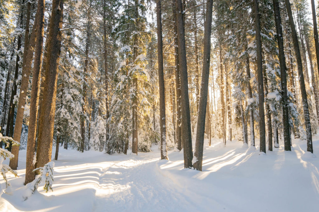 Best Cross Country Ski Trails in Saskatchewan