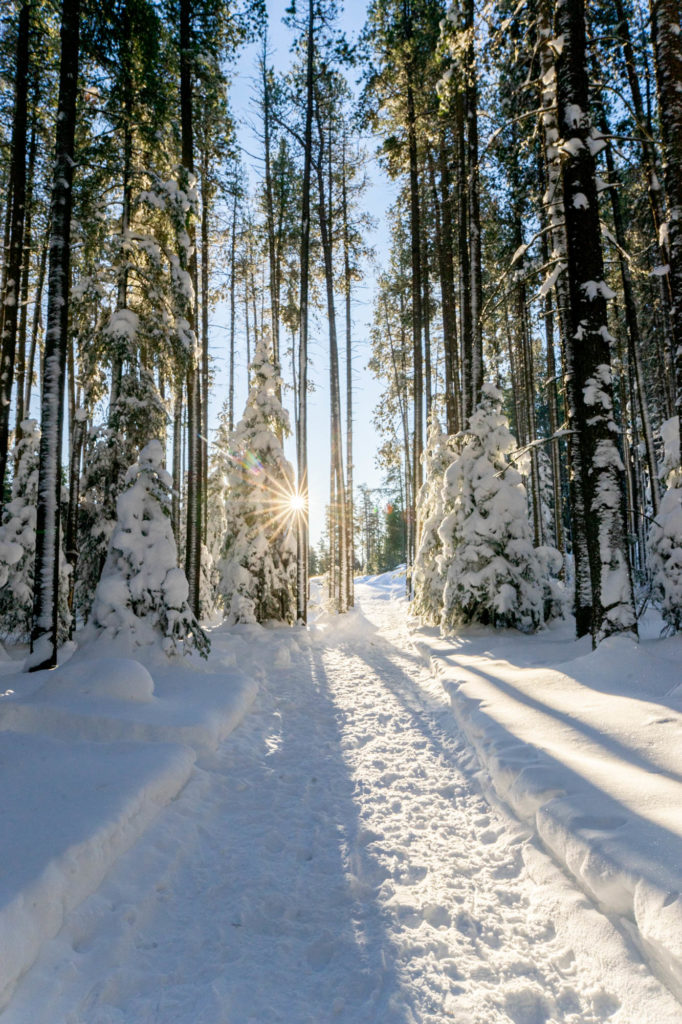 Best Cross Country Ski Trails in Saskatchewan