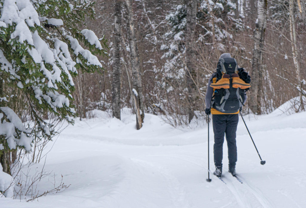 Best Cross Country Ski Trails in Saskatchewan