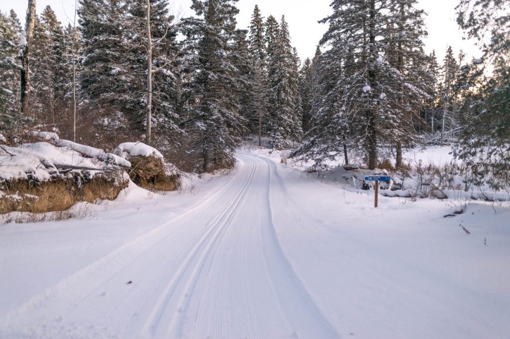 Best Cross Country Ski Trails in Saskatchewan