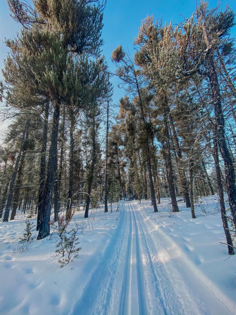 Best Cross Country Ski Trails in Saskatchewan