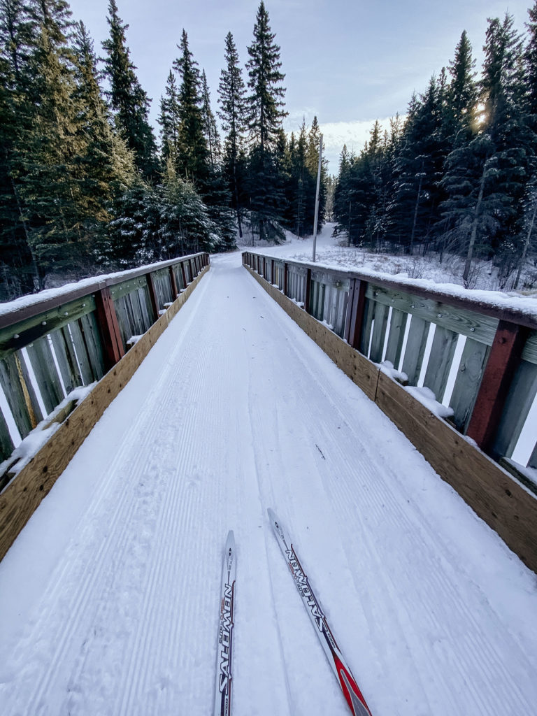 Best Cross Country Ski Trails in Saskatchewan