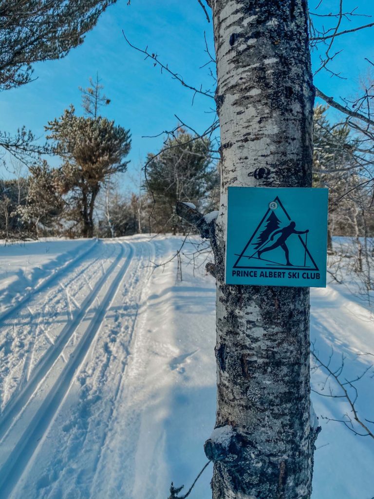 Best Cross Country Ski Trails in Saskatchewan