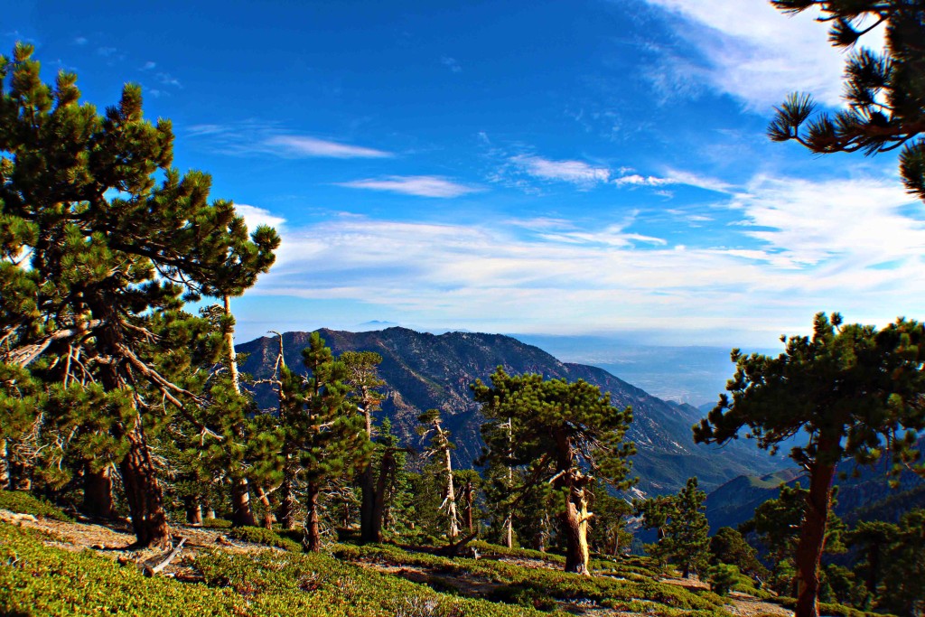 Mount Baldy, United States