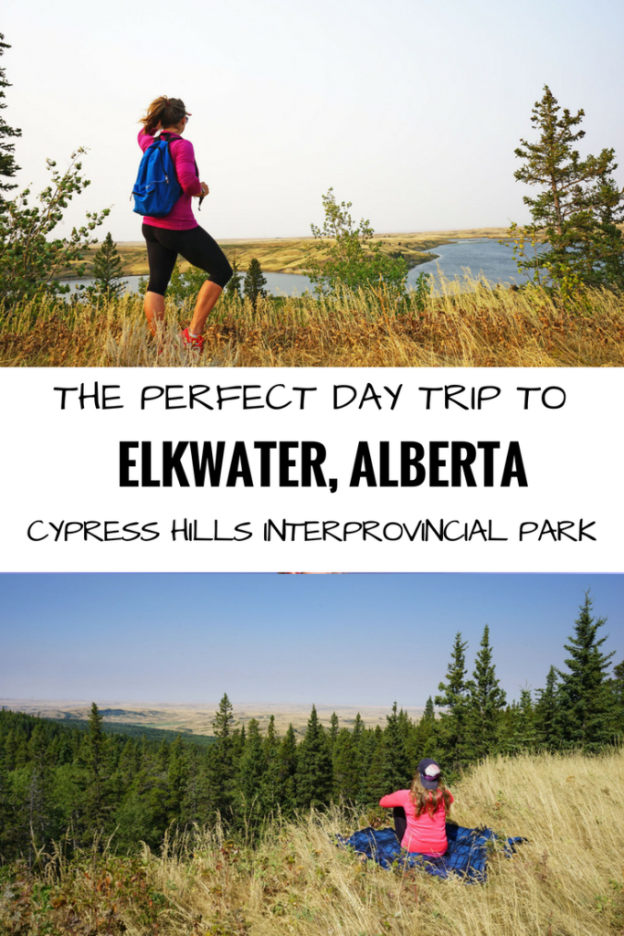 Everything you need to know for the perfect day trip to Elkwater and Cypress Hills Interprovincial Park